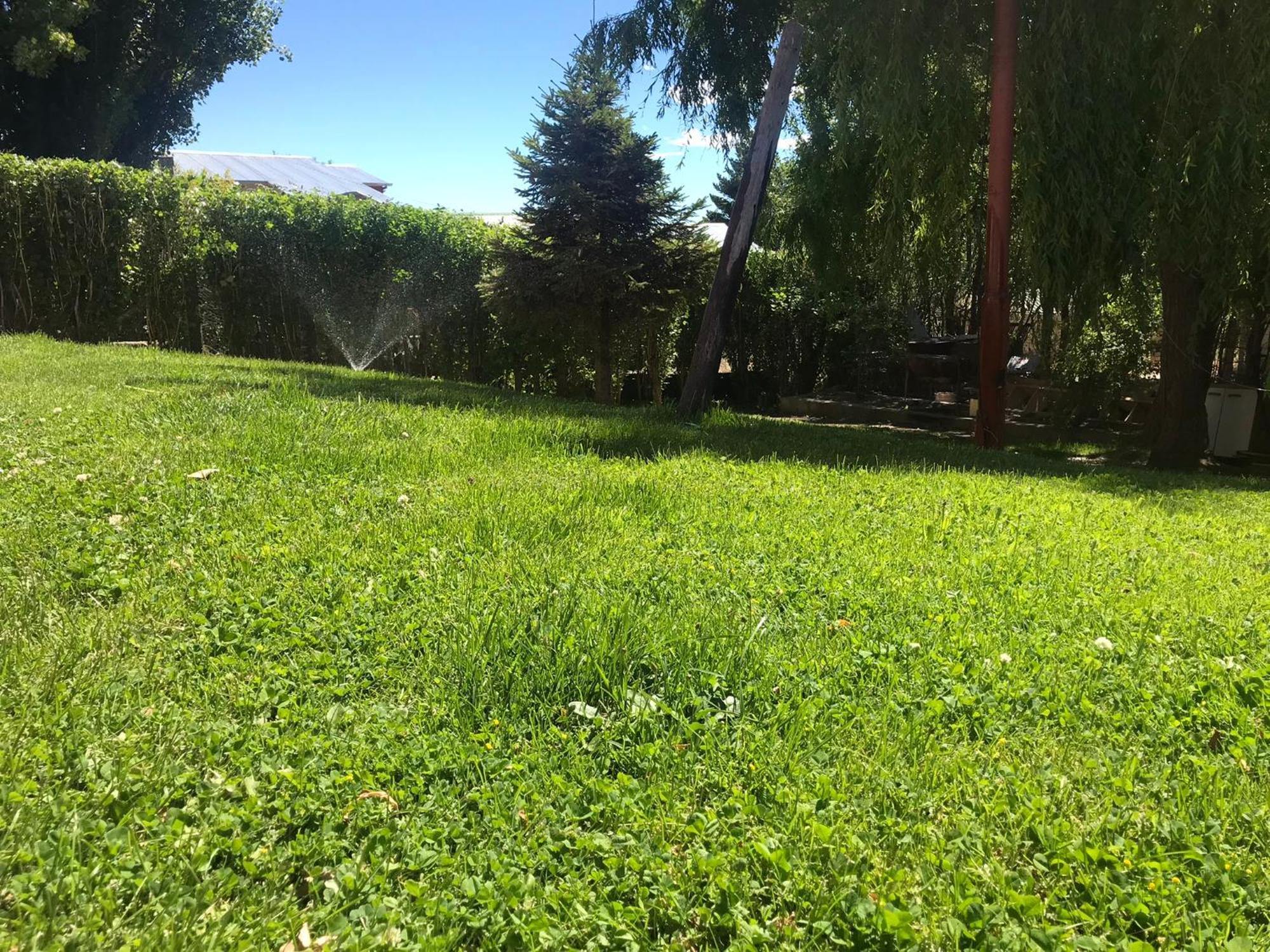 Amancay Aparts Appartement El Calafate Buitenkant foto